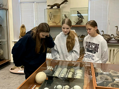 Главное изображение