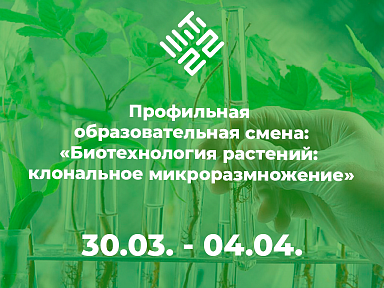 Главное изображение