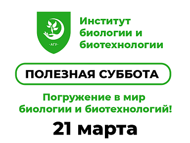 Главное изображение