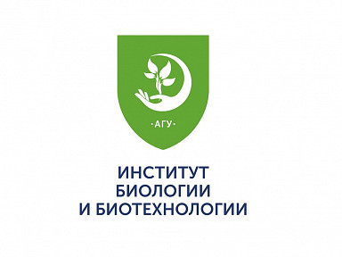 Главное изображение