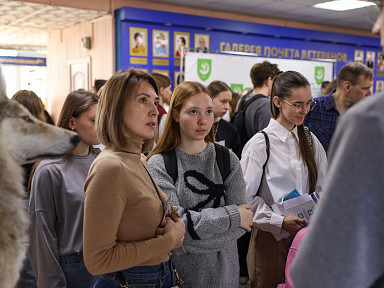 Главное изображение