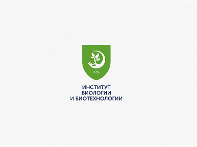 Главное изображение